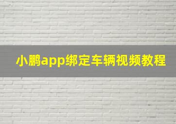 小鹏app绑定车辆视频教程