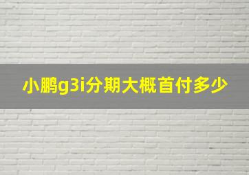 小鹏g3i分期大概首付多少