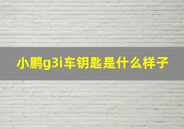 小鹏g3i车钥匙是什么样子