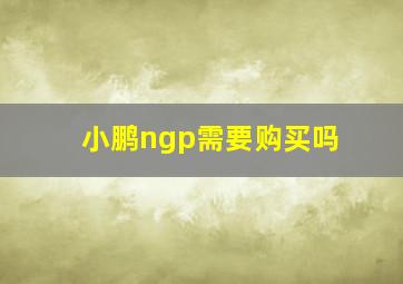 小鹏ngp需要购买吗