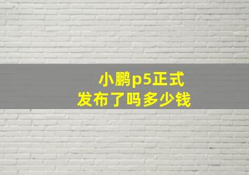 小鹏p5正式发布了吗多少钱