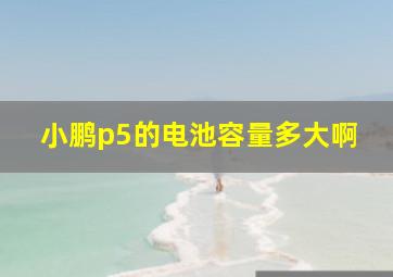 小鹏p5的电池容量多大啊