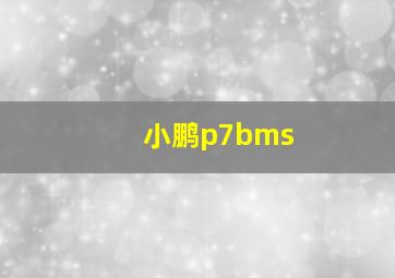 小鹏p7bms