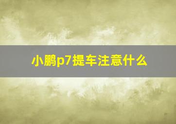 小鹏p7提车注意什么