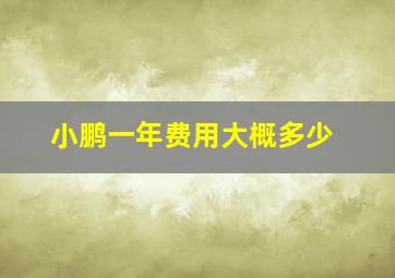 小鹏一年费用大概多少