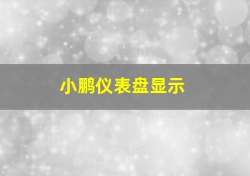 小鹏仪表盘显示