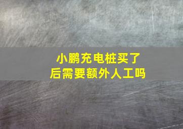 小鹏充电桩买了后需要额外人工吗