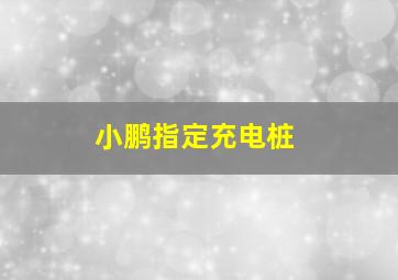 小鹏指定充电桩