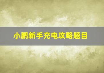 小鹏新手充电攻略题目