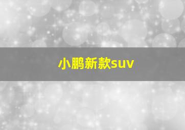 小鹏新款suv