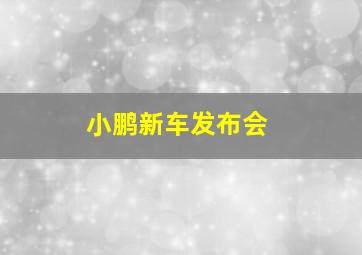 小鹏新车发布会