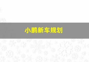 小鹏新车规划