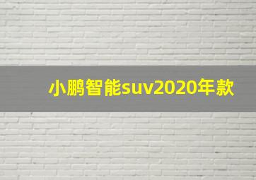 小鹏智能suv2020年款