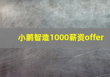 小鹏智造1000薪资offer