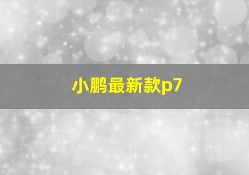 小鹏最新款p7