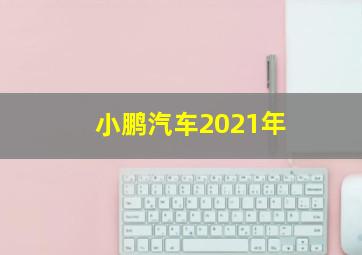 小鹏汽车2021年