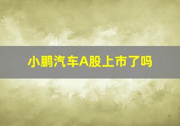 小鹏汽车A股上市了吗