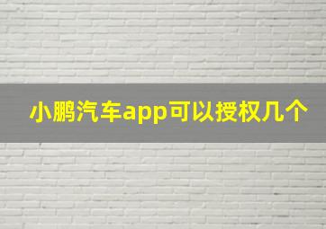 小鹏汽车app可以授权几个