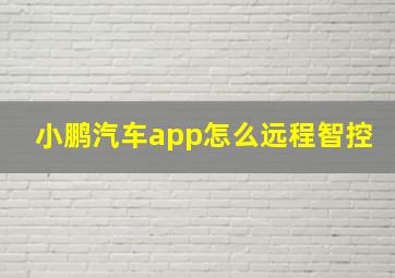 小鹏汽车app怎么远程智控