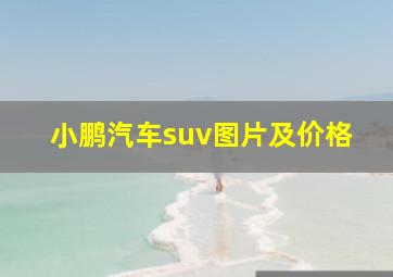 小鹏汽车suv图片及价格