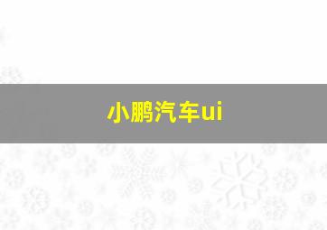 小鹏汽车ui