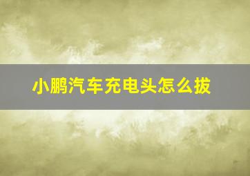 小鹏汽车充电头怎么拔