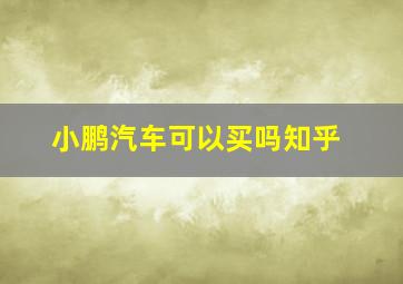 小鹏汽车可以买吗知乎