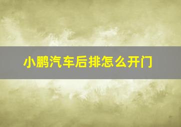 小鹏汽车后排怎么开门