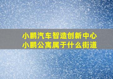 小鹏汽车智造创新中心小鹏公寓属于什么街道