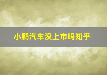 小鹏汽车没上市吗知乎