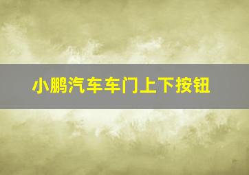 小鹏汽车车门上下按钮