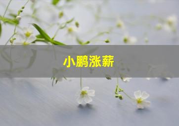 小鹏涨薪