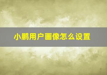 小鹏用户画像怎么设置