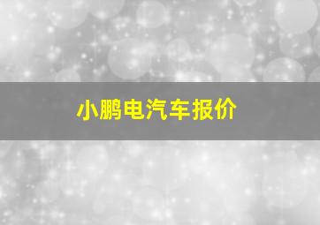 小鹏电汽车报价