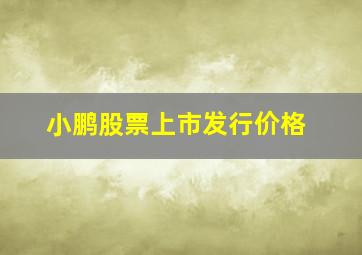 小鹏股票上市发行价格