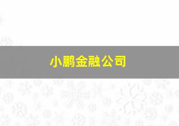 小鹏金融公司