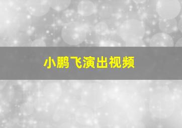 小鹏飞演出视频