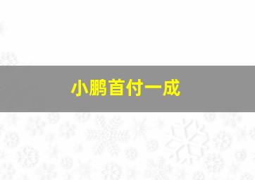 小鹏首付一成