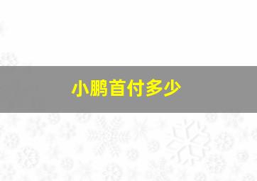 小鹏首付多少