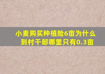 小麦购买种植险6亩为什么到村干部哪里只有0.3亩