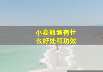 小麦酿酒有什么好处和功效