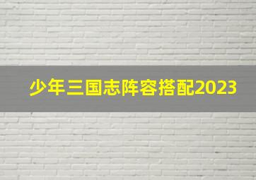 少年三国志阵容搭配2023