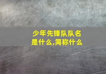 少年先锋队队名是什么,简称什么