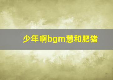 少年啊bgm慧和肥猪