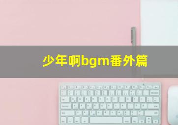 少年啊bgm番外篇