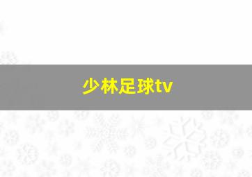 少林足球tv