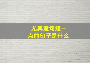 尤其造句短一点的句子是什么