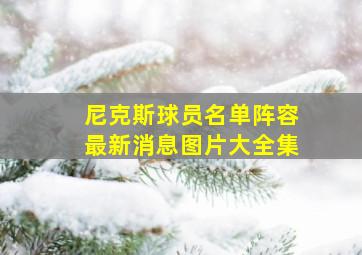 尼克斯球员名单阵容最新消息图片大全集