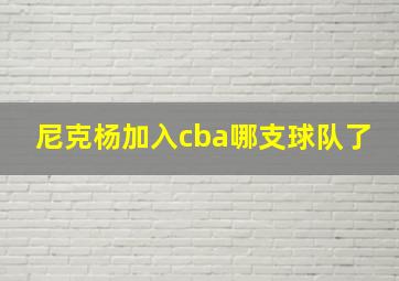 尼克杨加入cba哪支球队了