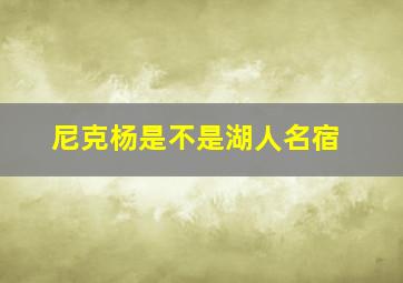 尼克杨是不是湖人名宿